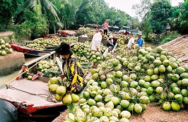 Vừa mua xong công ty mía đường, Vinamilk tiếp tục đầu tư vào doanh nghiệp chế biến dừa Bến Tre